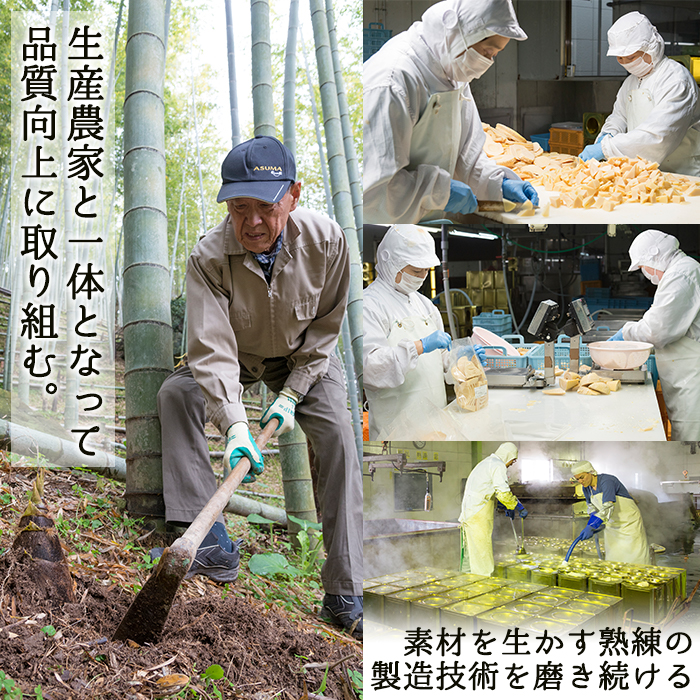 たけのこ・れんこん・大豆の水煮(合計10袋)国産 九州産 筍 水煮 蓮根 野菜 使い切り 小分け 個包装【上野食品】akn008-17