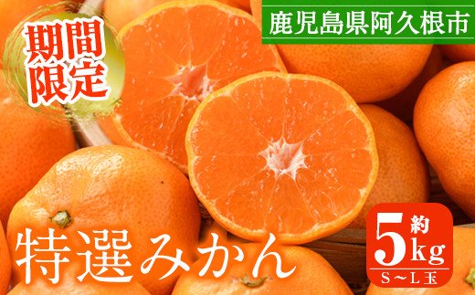 ＜先行予約受付中！2026年10月上旬以降順次発送予定＞ 数量限定！鹿児島県産 特選みかん(計約5kg) 国産 鹿児島県産 阿久根市産柑橘 果物 くだもの フルーツ 蜜柑 ミカン デザート 旬 数量限定 期間限定 手詰め 手詰【三笠農業生産】akn051-09