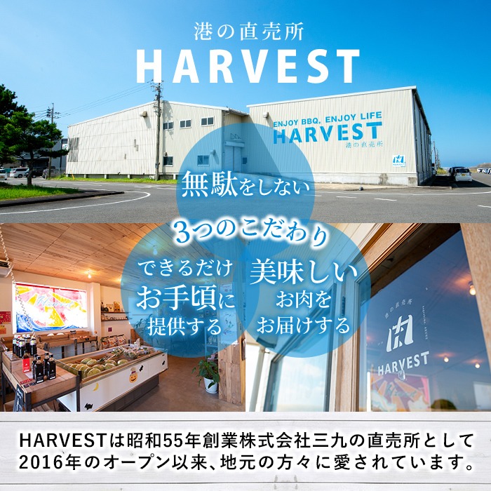 ＜定期便・全6回(偶数月)＞豚肉ウデモモ切り落とし(計18kg・1パック250g) 小分け 国産 豚肉 豚小間 真空パック 家庭用 豚こま 定期便 スライス 冷凍配送 個包装 切り落し 切落し すき焼き しゃぶしゃぶ セット 詰め合わせ 数量限定【三九】akn006-16