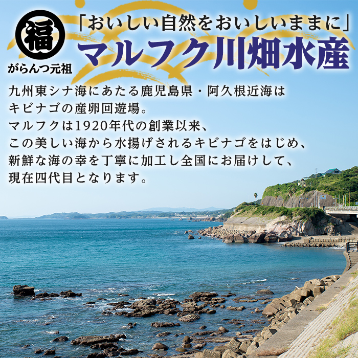 ＜定期便・全2回(隔月)＞阿久根市産 干物(6種)国産 鹿児島県産 ひもの 開き 一夜干し がらんつ 乾物 魚 キビナゴ あじ いか イカ うるめ あおさ 【マルフク川畑水産】a-24-36-z