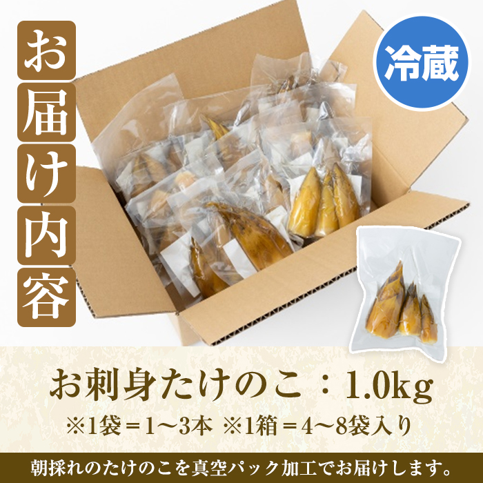 ＜先行予約受付中！2027年3月上旬以降順次発送予定＞ 【土日祝着】お刺身たけのこ(計1kg) 国産 鹿児島県産 朝採れ タケノコ 竹の子 筍 真空パック 野菜 春 旬 【上野食品】akn008-06-B