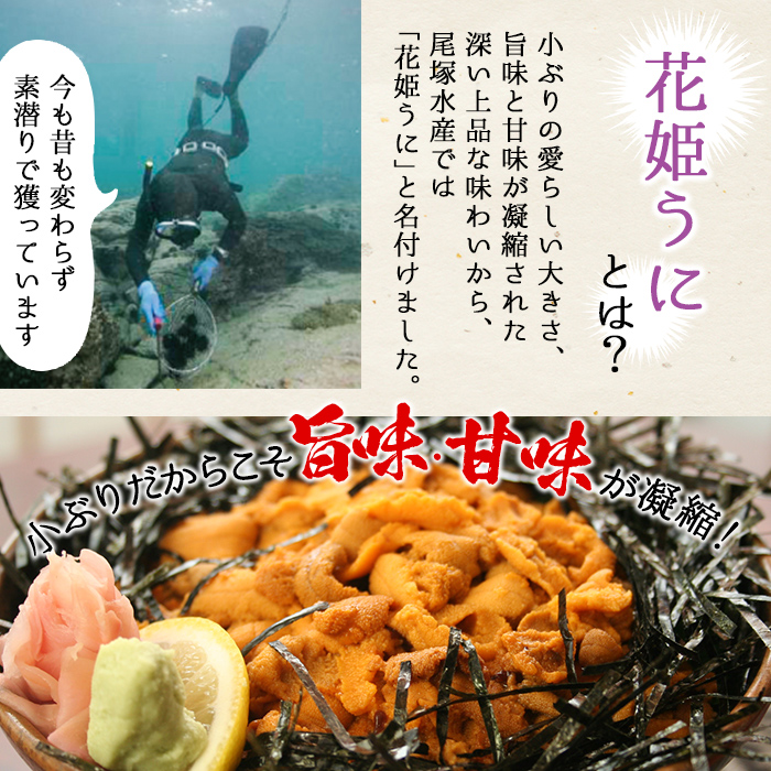 鹿児島県産うに使用！尾塚水産の生うに海水漬(70g×1本) 国産 鹿児島県産 阿久根市 雲丹 ウニ 魚介 魚貝 海産物 海鮮丼 瓶詰 瓶詰め 小分け セット 冷凍配送 刺身 海鮮丼【尾塚水産】a-12-336-z