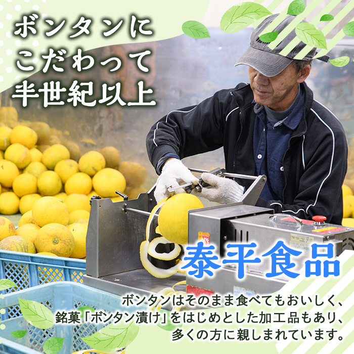 南国銘菓！果実の王様ボンタン漬セット(計5袋・ボンタン漬/舟切・ぼんたん漬/青切・甘夏みかん漬・ひとくちサイズぼんたん漬/青切/舟切)国産 個包装 おやつ 果物のお菓子 セット 小分け【泰平食品】akn007-01