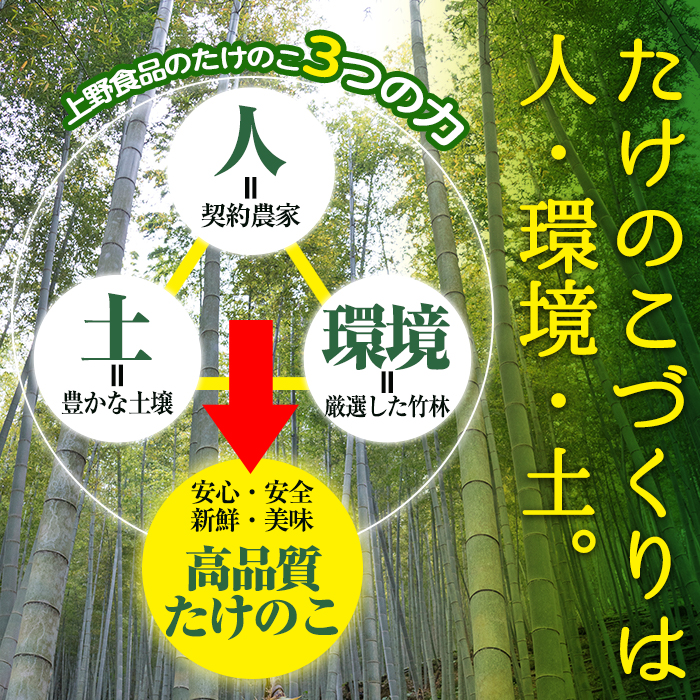 たけのこ水煮タンザク(計700g・100g×7袋)国産 九州産 筍 野菜 使い切り 小分け 個包装【上野食品】a-12-196