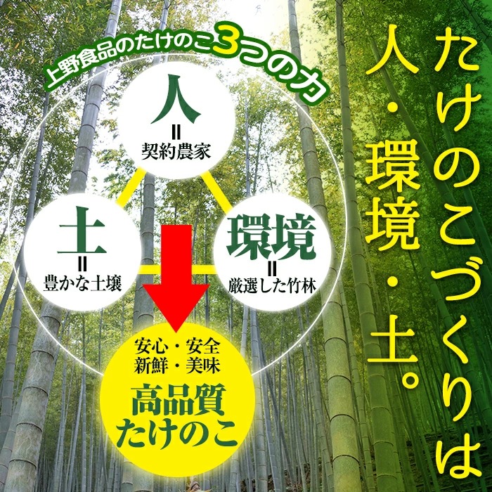 ＜先行予約受付中！2027年2月下旬以降順次発送予定＞ 【平日着】朝堀り青果たけのこ(約3kg) 国産 新鮮 タケノコ 青果 竹の子 筍 野菜 春 旬 期間限定 数量限定 【上野食品】akn008-19-A