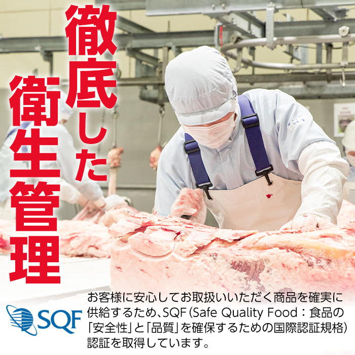 ＜定期便・全6回(隔月)＞鹿児島県産！黒毛和牛モモスライス定期便(総量3.6kg)国産 モモスライス 牛肉 もも肉 パック お楽しみ セット【スターゼン】a-72-5