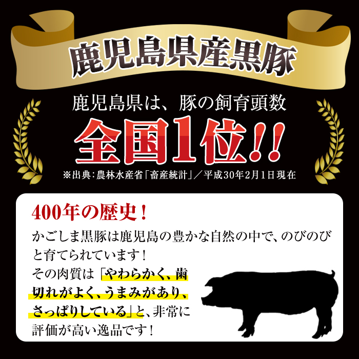 数量限定！鹿児島黒牛切り落とし肉・鹿児島黒豚もも切り落とし肉(計約1kg)国産 九州産 鹿児島産 国産牛 牛肉 切落し 豚肉 豚モモ 豚もも セット 限定【鹿児島いずみ農業協同組合】akn018-18