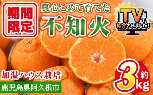 ＜先行予約受付中！2026年12月上旬以降順次発送予定＞ ＼テレビで紹介されました！／数量限定！鹿児島県産加温ハウス栽培の不知火「大将季」(計約3kg) 旬 フルーツ 果物 柑橘 みかん【三笠農業生産】akn051-07