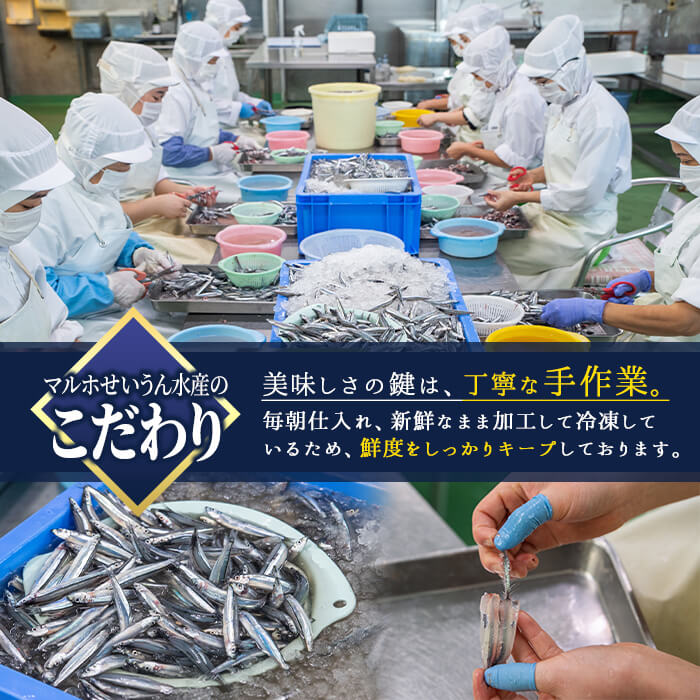  鹿児島県産！あくねキビナゴづくしBセット(3種)一夜干し、刺身、漁師漬けをセットに冷凍でお届け！魚介類 海鮮 海の幸 きびなご キビナゴ 刺し身 さしみ 一夜干し 漁師漬け【マルホせいうん水産】a-14-8-z