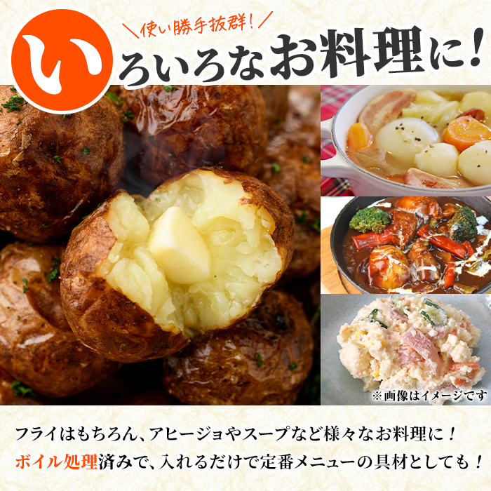 å·åããããã (èš7.5kgã»250gÃ30è¢) ãžã£ã¬ã€ã¢ ãã·ãŠã¿ã« ã«ãããã å·å ãã€ã« å°åã å°ç å°ãã ãã©ã€ ã¢ããŒãžã§ ã¹ãŒã ã«ã¬ãŒ ã·ãã¥ãŒ ç°¡å調ç ãåŒåœ ããã éè èµ€å ãæéäŒç€ŸããŸãæ°Žç£é£åãakn036-07