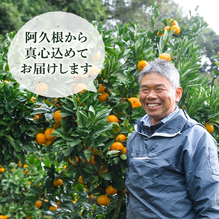 ＜先行予約受付中！2026年12月中旬以降順次発送予定＞ 訳あり！鹿児島県産スイートスプリング(計約10kg・37～43個程) 柑橘 果物 フルーツ 旬 デザート 国産 鹿児島県産 阿久根市産 小玉 数量限定 期間限定 訳アリ ノーワックス【三笠農業生産】akn051-03