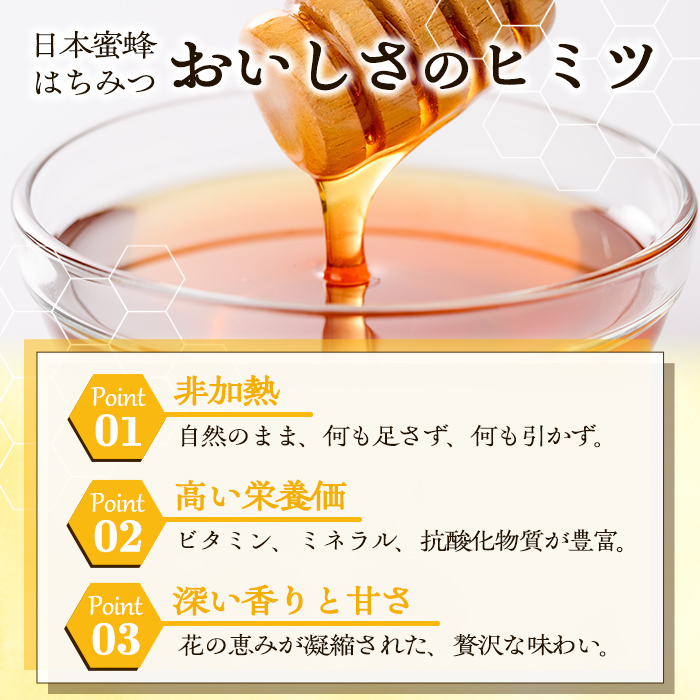 数量限定！日本蜜蜂 はちみつ(300g) 国産 蜂蜜 ハチミツ 日本ミツバチ 非加熱 ハニー ボトル 【三九】akn006-17