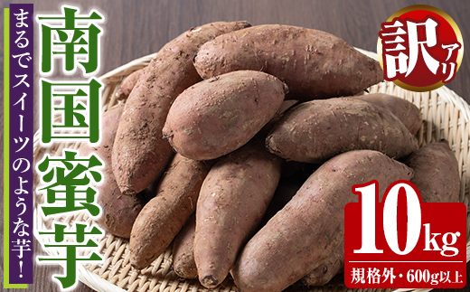 èš³ããïŒæ°ééå®ïŒçæèãååœèèã(èŠæ Œå€ãµã€ãºã»10kg) èš³ãã åœç£ ãè éè ãã¶ãŒã çŒè çŒãè çŒããã ã€ã¢ çŽ
ã¯ãã 倧åŠè èš³ã¢ãª è©°ãåãããããšããã¡ãakn067-24