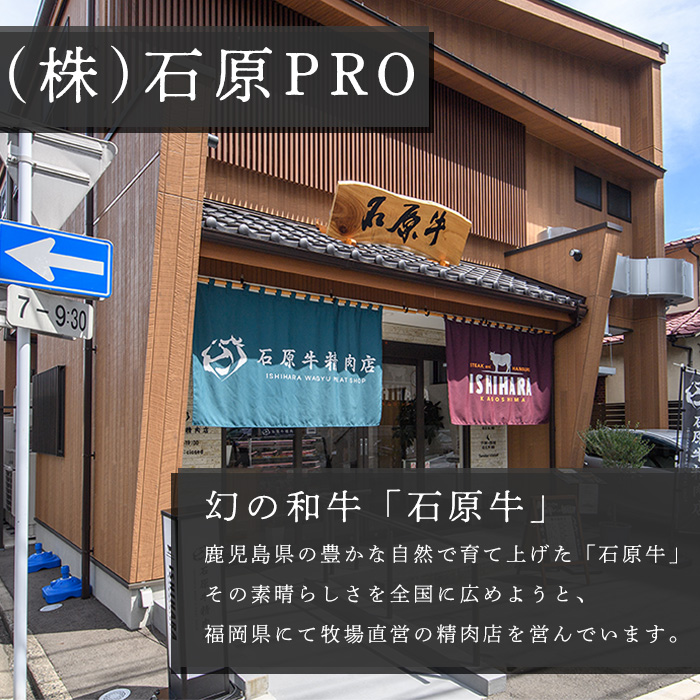 石原牛 霜降りロース 焼肉用(300g) 黒毛和牛 国産 九州産 鹿児島県産 ブランド牛 焼肉 BBQ 牛肉 和牛 霜降り ロース 冷凍 贅沢 贅沢な一品 贈答用 ギフト用【株式会社石原PRO】a-26-12-z