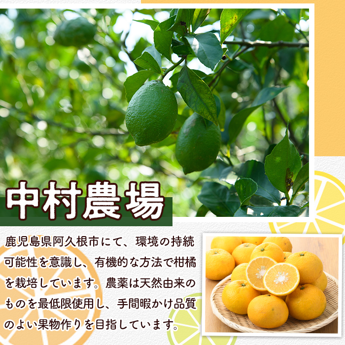 ïŒå
è¡äºçŽåä»äžïŒ2026幎2æäžæ¬ä»¥éçºéäºå®ïŒæ°ééå®ïŒææ©JAS çå€(çŽ10kg) åœç£ æå® æç© ãã«ãŒã ææ© ãã¶ãŒã æééå® ææ©æ œå¹ãäžæèŸ²å Žãakn084-05