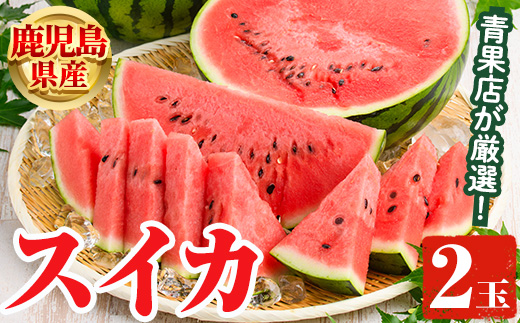 ＜先行予約受付中！2026年6月中旬以降順次発送予定＞鹿児島県産 スイカ(2玉) 国産 果物 スイカ すいか 西瓜 ジュース スムージー 祭ばやし 縞王 紅まくら 黒小玉スイカ 期間限定【松永青果】akn053-31
