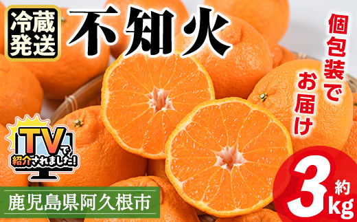 ＜先行予約受付中！2026年4月上旬以降順次発送予定＞数量限定！冷蔵不知火「クールな大将季」(計約3kg) 国産 みかん ミカン 柑橘 フルーツ 果物 旬 デザート 数量限定 阿久根市産 露地 しらぬい シラヌイ 冷蔵 期間限定 クール【三笠農業生産】akn051-06