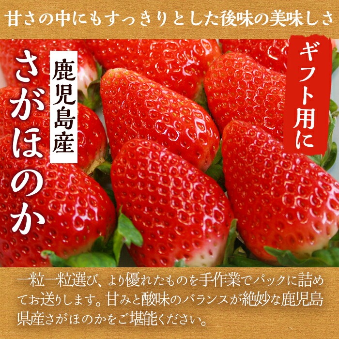 鹿児島県産いちご(さがほのか「秀大」・計約1.4kg・40粒×2箱) 鹿児島 阿久根 果物 フルーツ イチゴ いちご 苺 さがほのか デザート おやつ 期間限定【鹿児島いずみ農業協同組合】akn018-21