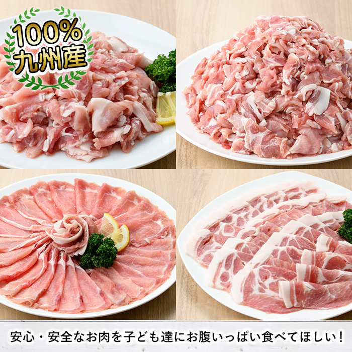 ＜定期便・全6回(偶数月)＞豚肉ウデモモ切り落とし(計12kg・1パック250g) 小分け 国産 豚肉 豚小間 真空パック 家庭用 豚こま 定期便 スライス 焼肉 BBQ 冷凍配送 個包装 切り落し 切落し すき焼き しゃぶしゃぶ セット 詰め合わせ 数量限定【三九】a-64-2-z