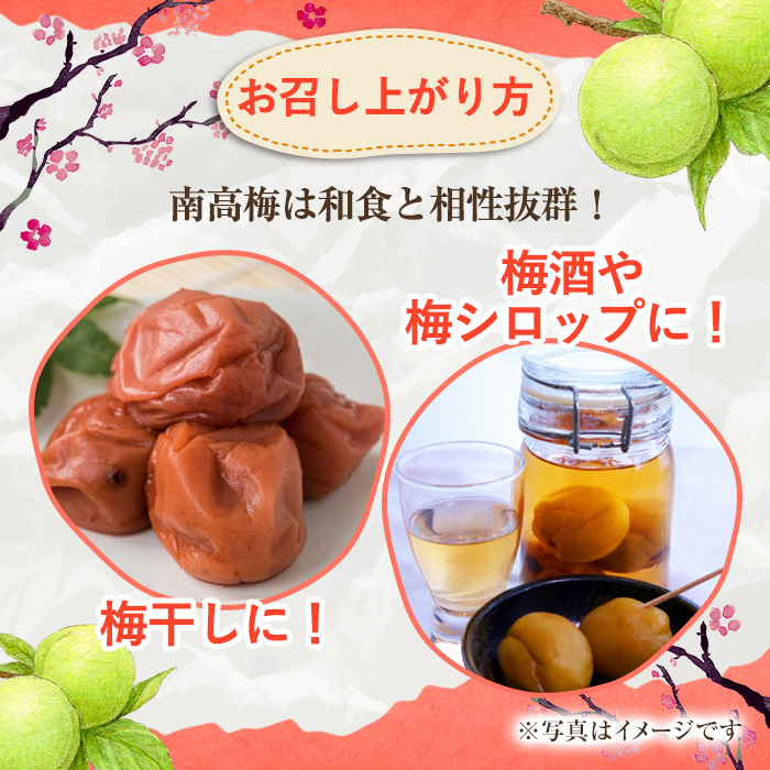 ＜先行予約受付中！2026年5月下旬以降順次発送予定＞訳あり！鹿児島県産 南高梅(約4kg) 国産 果物 梅 うめ ウメ ナンコウウメ 和食 梅干し 梅酒 梅シロップ 訳アリ サイズ混合 期間限定【松永青果】akn053-09