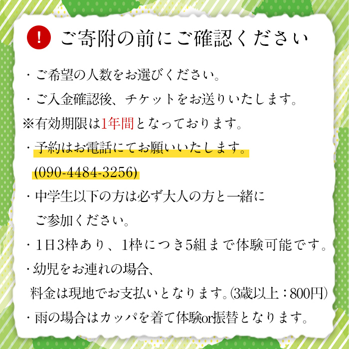 とうもろこし収穫体験チケット 中学生以上2名+小学生1名( 45分食べ放題 とうもろこしのお土産付き ) 国産 トウモロコシ 玉蜀黍 ホワイト コーン 野菜 糖度 夏 イネ科 収穫体験 チケット【うとさんち】a-18-32