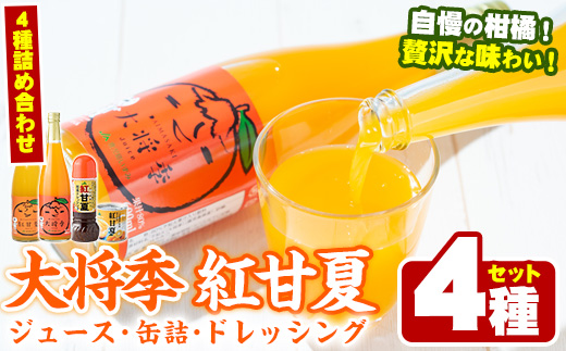 濃厚な果汁！大将季・紅甘夏ジュース 缶詰＆ドレッシングセット(4種)鹿児島県 阿久根 柑橘 蜜柑 みかん ミカン 飲料 飲み物 調味料 おやつ デザート フルーツ 果物 詰合せ ギフトセット【鹿児島いずみ農業協同組合】a-15-44