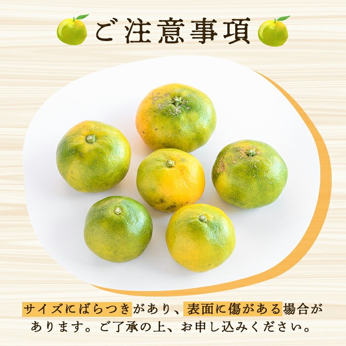 ＜先行予約受付中！2026年9月中旬以降順次発送予定＞ 訳あり！極早生みかん(約10kg) 国産 みかん 極早生 早生 柑橘 果物 フルーツ デザート 果実 期間限定 数量限定 【古田果樹園】akn093-11