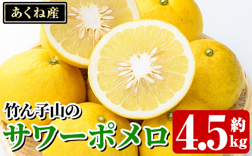 竹ん子山のサワーポメロ(約4.5kg) 国産 鹿児島県産 阿久根産 柑橘 果物 フルーツ 果実 期間限定 【竹ん子山】akn097-12