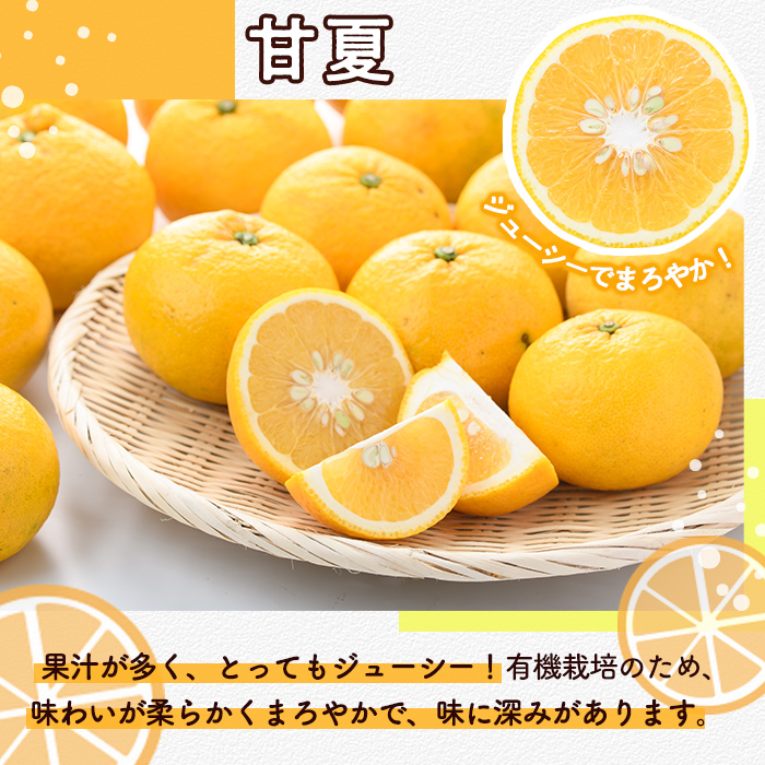 ïŒå
è¡äºçŽåä»äžïŒ2026幎2æäžæ¬ä»¥éçºéäºå®ïŒæ°ééå®ïŒææ©JAS çå€(çŽ10kg) åœç£ æå® æç© ãã«ãŒã ææ© ãã¶ãŒã æééå® ææ©æ œå¹ãäžæèŸ²å Žãakn084-05