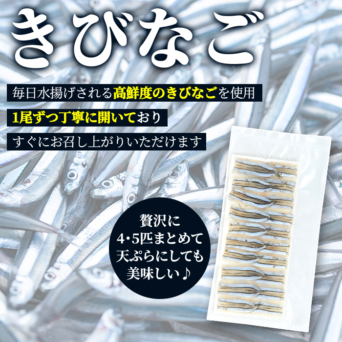 ＜冷凍＞鹿児島県阿久根産 天然きびなごのお刺身(計160尾・20尾×8パック) 国産 魚介 魚貝 海産物 鮮魚 刺身 天ぷら 冷凍配送 キビナゴ 海鮮丼 食品 セット 詰め合わせ 水産加工品 【濱崎魚類】a-12-227-z