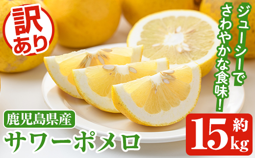 訳ありサワーポメロ(約15kg) 国産 果物 フルーツ 柑橘 甘味 酸味 デザート おやつ【松永青果】akn053-44