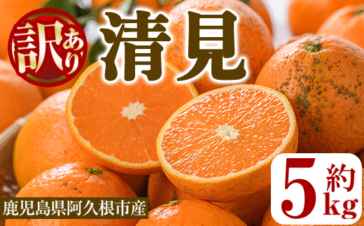 ＜先行予約受付中！2027年2月以降順次発送予定＞訳あり 清見(約5kg) 国産 鹿児島県 阿久根市 果実 果物 フルーツ 柑橘 みかん ミカン きよみ 訳アリ 期間限定 数量限定 【桐野柑橘株式会社】akn070-20