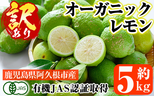 数量限定！有機JAS 訳ありオーガニックレモン(約5kg) 国産 訳あり レモン 檸檬 果実 果物 フルーツ 柑橘 デザート 期間限定 有機栽培 健康志向 【中村農場】akn084-02