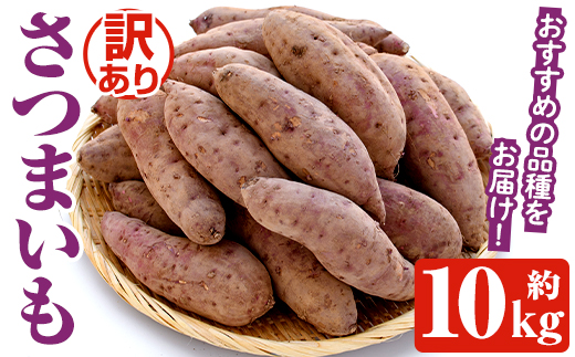 ＜先行予約受付中！2026年8月下旬以降順次発送予定＞訳あり！さつまいも (約10kg) 鹿児島県 阿久根市 さつま芋 サツマイモ 紅はるか 紅さつま シルクスイート 訳アリ 野菜 芋 イモ【松永青果】akn053-20