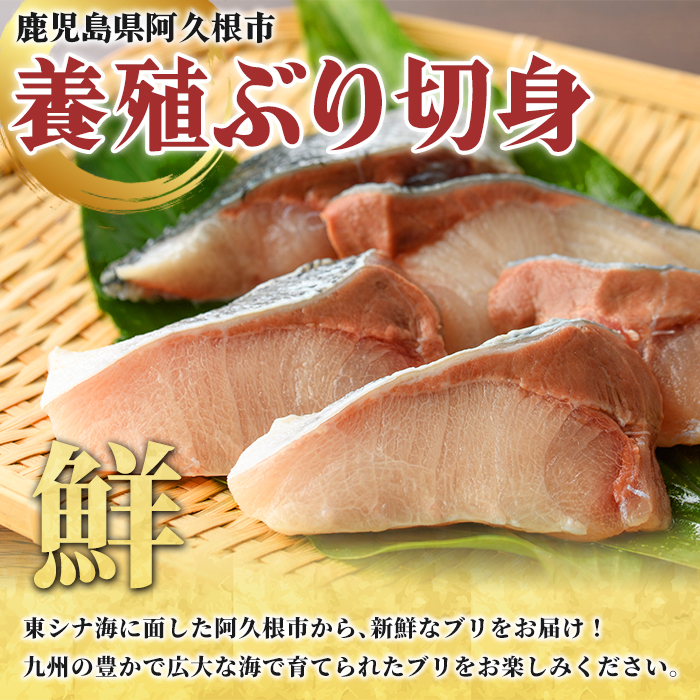 鬢頑ョ悶カ繧雁霄ォ(邏2kg) 鮖ソ蜈仙ウカ逵 髦ソ荵譬ケ蟶 繝悶Μ 縺カ繧 魏、 鬲夊イ 鬲壻サ 豬キ逕」迚ゥ 蛻霄ォ 蛻繧願コォ 辣ョ迚ゥ 辣ョ縺、縺 辟シ縺埼ュ 縺翫°縺 縺翫▽縺セ縺ソ 蟆丞縺 縲舌&繧九′縺乗ーエ逕」縲疎kn028-45