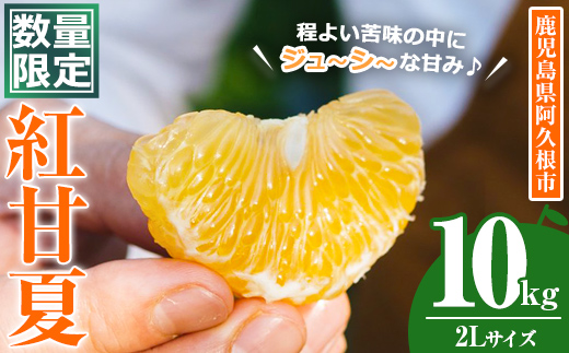 ＜先行予約受付中！2027年3月上旬以降順次発送予定＞数量限定！鹿児島県産 紅甘夏 (10kg・2L) 柑橘 フルーツ 果物 国産 みかん 期間限定 数量限定 ベニアマナツ ミカン 旬 【株式会社土曜日】akn069-10
