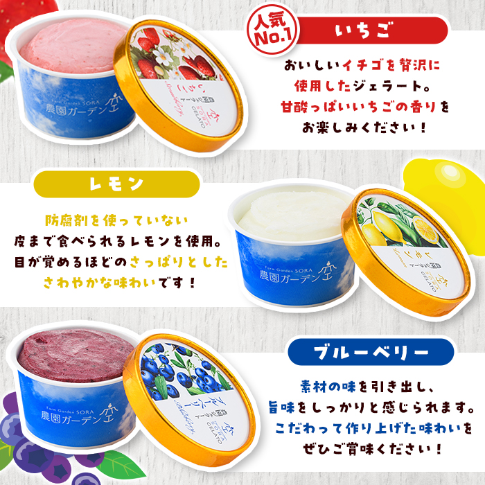 ＼テレビで紹介されました！／農園ガーデン空 楽園のジェラートセット(90ml×6個) ジェラート アイス いちご いちごミルク レモン ブルーベリー 抹茶 デザート スイーツ おやつ 夏 鹿児島 バラエティ バレンタイン ホワイトデー【農園ガーデン空】akn026-12