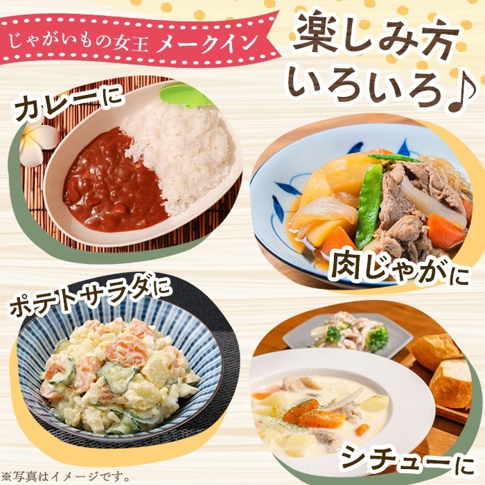 ＜先行予約受付中！2027年5月下旬以降順次発送予定＞ 訳あり！じゃがいも「メークイン」(約5kg) じゃがいも ジャガイモ 芋 国産 野菜 期間限定 数量限定 肉じゃが ポテトサラダ カレー シチュー 【古田果樹園】akn093-01