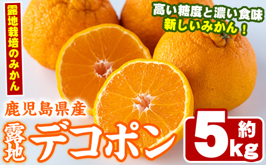 ＜先行予約受付中！2025年3月以降順次発送予定＞鹿児島県産！露地デコポン(約5kg・15～24玉) 果物 冬 春 柑橘 みかん 蜜柑 フルーツ 期間限定 数量限定【鹿児島いずみ農業協同組合】a-14-60-z