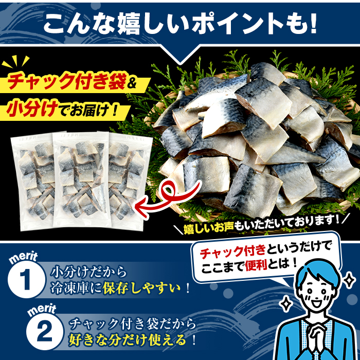 ＜定期便・全6回(隔月)＞骨取り 塩さば 切身 (計15.6kg) 大容量 サバ 鯖 骨ぬき 骨抜き 骨なし 海産物 海鮮 おかず 惣菜 焼き魚 お弁当 切り身 ジップロック チャック付き袋 小分け 簡単調理 定期便 【グローバルフーズ】akn061-46