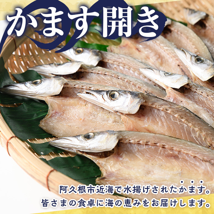 鹿児島県阿久根市産干物！かます開き(計15枚・3枚×5袋)国産 魚介 加工品 ひもの おかず おつまみ【川本商店】a-13-25-z