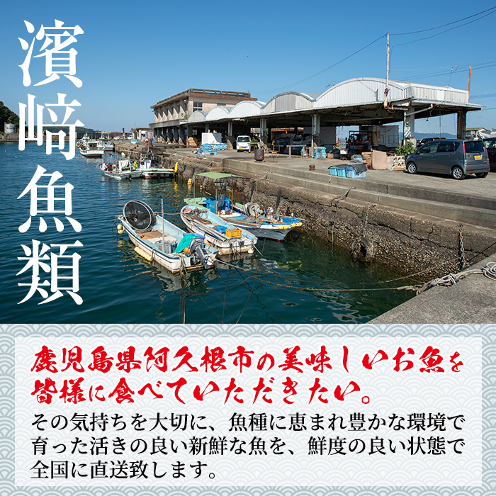 鹿児島県阿久根産 天然きびなごのお刺身(計160尾・40尾×4パック)国産 魚介 魚貝 海産物 鮮魚 冷蔵配送 キビナゴ 海鮮丼 食品 セット 詰め合わせ 水産加工品【濱崎魚類】a-12-4-z