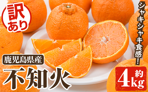 ＜先行予約受付中！2026年2月以降順次発送予定＞訳あり不知火(約4kg) 国産 鹿児島県産 果物 フルーツ 柑橘 不知火【松永青果】akn053-17