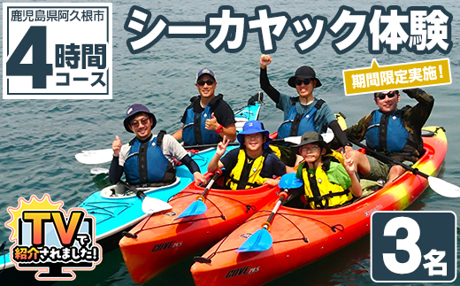 期間限定実施 シーカヤック体験チケット(4時間/3名) 阿久根 シーカヤック アウトドア アクティビティ 自然 体験 ツアー チケット マリンスポーツ【パズル】akn098-11