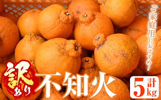 ＜先行予約受付中！2026年2月以降順次発送予定＞＜訳あり・不揃いの為＞数量限定！無加温ハウス不知火(5kg) 国産 鹿児島県 阿久根市 果実果物 フルーツ 柑橘 みかん ミカン 期間限定 数量限定【桐野柑橘株式会社】akn070-12