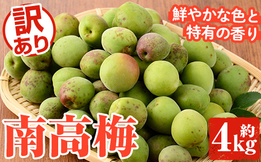 ＜先行予約受付中！2026年5月下旬以降順次発送予定＞訳あり！鹿児島県産 南高梅(約4kg) 国産 果物 梅 うめ ウメ ナンコウウメ 和食 梅干し 梅酒 梅シロップ 訳アリ サイズ混合 期間限定【松永青果】akn053-09