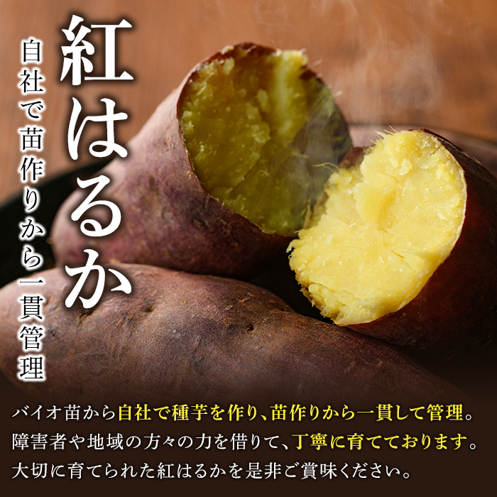 èš³ããïŒé¹¿å
å³¶çç£ãã€ãŸããçŽ
ã¯ãã(èš10kg) 倧容é åœç£ çæ è©°ãåãã éè ãã€ãŸè çŒè 鹿å
å³¶ç£ å€§å°æ··å æééå® åžžæž©ä¿åãååäŒç€Ÿã°ãããã£ãŒã«ããakn056-08