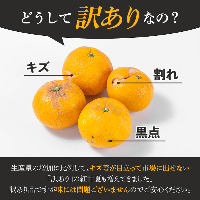 シ懷郁。御コ育エ蜿嶺サ倅クュシ2027蟷エ3譛井ク頑流莉・髯埼谺。逋コ騾∽コ亥ョ夲シ 險ウ縺ゅjシ鮖ソ蜈仙ウカ逵檎肇縺セ縺九↑縺邏逕伜、(邏20kg) 蝗ス逕」 鮖ソ蜈仙ウカ逕」 譟第ゥ 險ウ繧「繝ェ 譫懃黄 繝輔Ν繝シ繝 譌ャ 蟶ク貂ゥ菫晏ュ 邏逕伜、 繝吶ル繧「繝槭リ繝 謨ー驥城剞螳 譛滄俣髯仙ョ 隕乗シ螟 繝繧カ繝シ繝 髦ソ荵譬ケ蟶ら肇縲蝉ク臥ャ霎イ讌ュ逕溽肇縲疎kn051-05