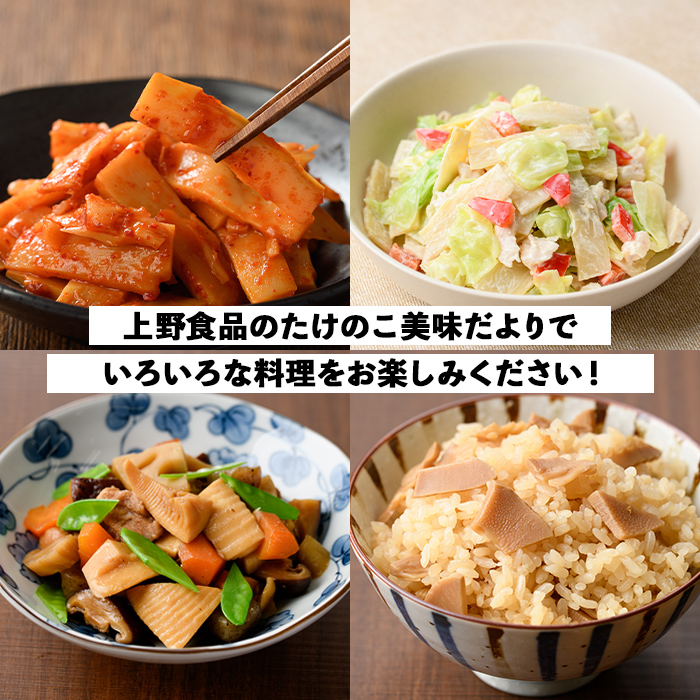 たけのこ美味だより(6種)国産 加工品 惣菜 弁当 おかず 筍水煮 たけのこご飯の素 簡単調理 贈答 ギフト プレゼント【上野食品】a-12-24-z