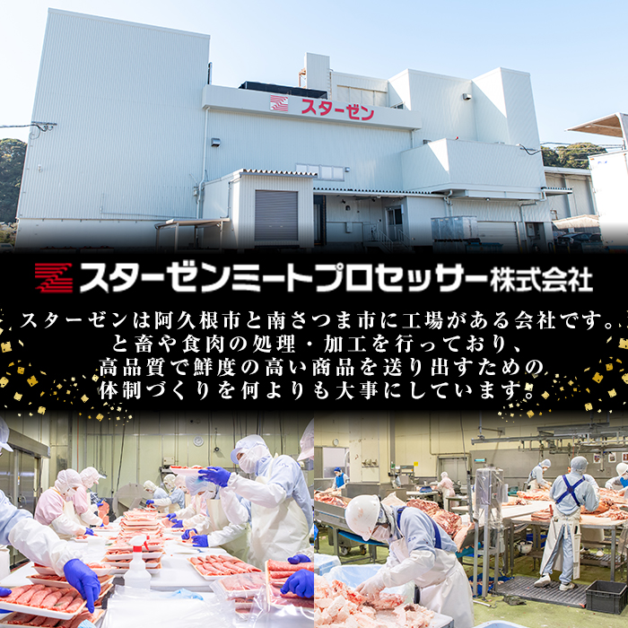 ＜定期便・全12回(連続)＞鹿児島県産 黒毛和牛・黒豚定期便 B (総量約11.9kg以上) 国産 鹿児島県産 黒豚 しゃぶしゃぶ 肩 ロース スライス 訳あり 切り落とし 黒毛和牛 サーロイン ステーキ 黒豚 バラ カタ ウデ 小分け セット 【スターゼン】akn042-36
